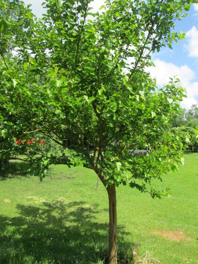 Florennes Gite Neuf 150 M2 Devant Un Grand Lac Prive De 2 Hectares Poissonneux Au Milieu Des Bois Villa Exterior photo