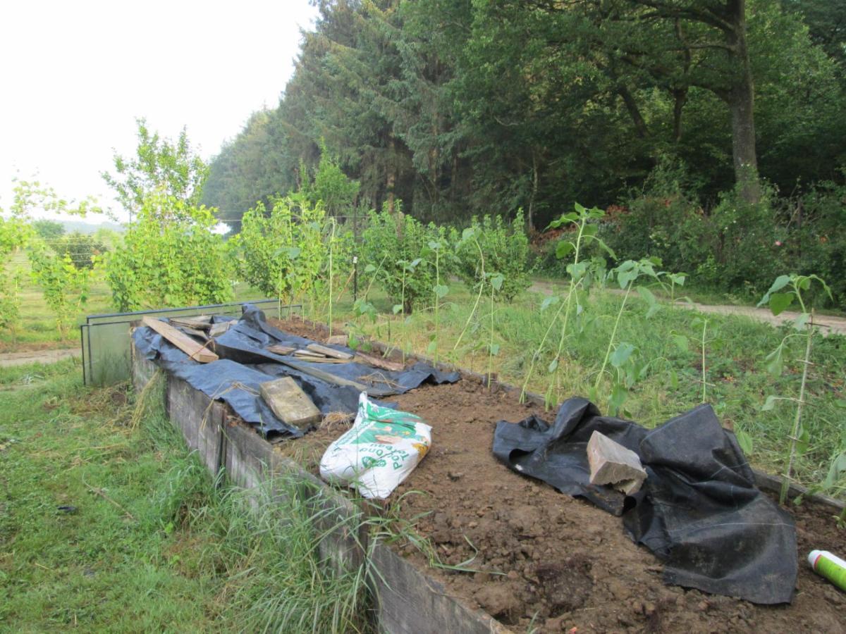 Florennes Gite Neuf 150 M2 Devant Un Grand Lac Prive De 2 Hectares Poissonneux Au Milieu Des Bois Exterior photo