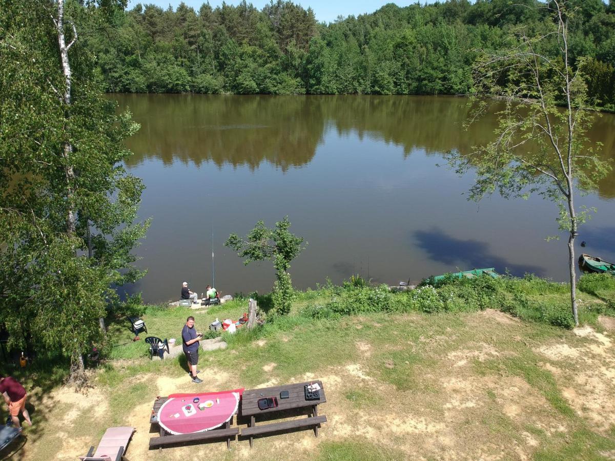 Florennes Gite Neuf 150 M2 Devant Un Grand Lac Prive De 2 Hectares Poissonneux Au Milieu Des Bois Exterior photo
