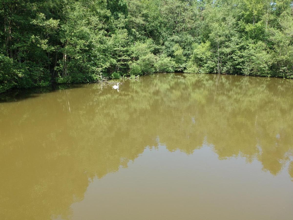 Florennes Gite Neuf 150 M2 Devant Un Grand Lac Prive De 2 Hectares Poissonneux Au Milieu Des Bois Villa Exterior photo