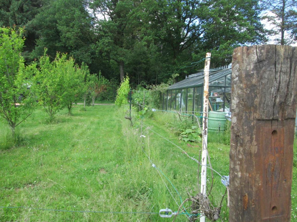 Florennes Gite Neuf 150 M2 Devant Un Grand Lac Prive De 2 Hectares Poissonneux Au Milieu Des Bois Exterior photo