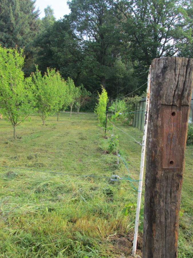 Florennes Gite Neuf 150 M2 Devant Un Grand Lac Prive De 2 Hectares Poissonneux Au Milieu Des Bois Villa Exterior photo