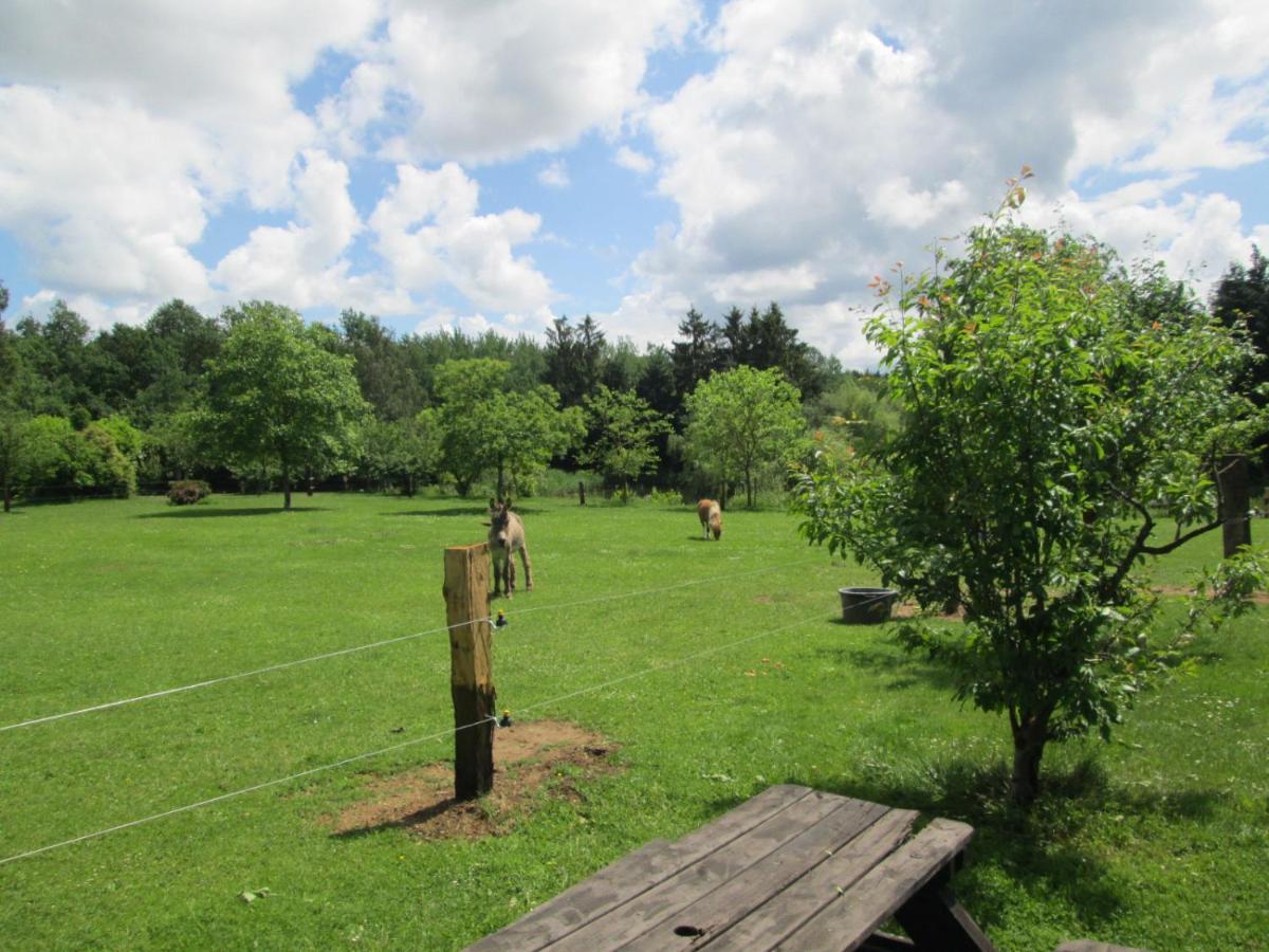 Florennes Gite Neuf 150 M2 Devant Un Grand Lac Prive De 2 Hectares Poissonneux Au Milieu Des Bois Villa Exterior photo