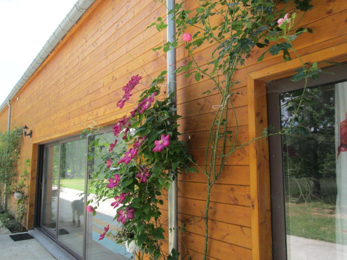 Florennes Gite Neuf 150 M2 Devant Un Grand Lac Prive De 2 Hectares Poissonneux Au Milieu Des Bois Exterior photo