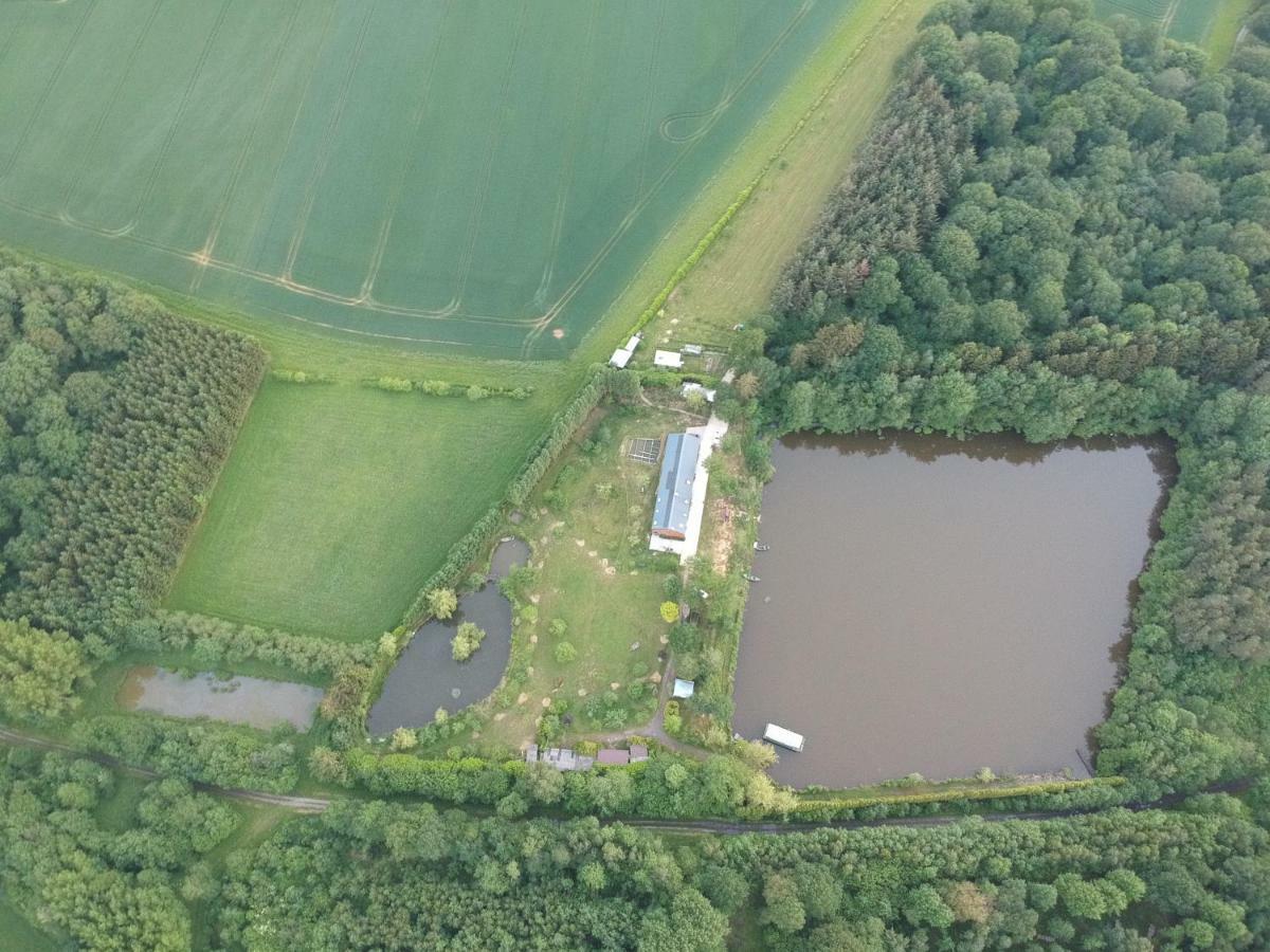 Florennes Gite Neuf 150 M2 Devant Un Grand Lac Prive De 2 Hectares Poissonneux Au Milieu Des Bois Villa Exterior photo