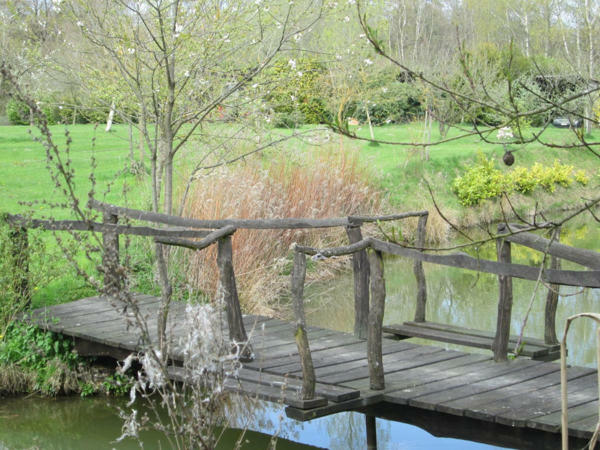 Florennes Gite Neuf 150 M2 Devant Un Grand Lac Prive De 2 Hectares Poissonneux Au Milieu Des Bois Exterior photo