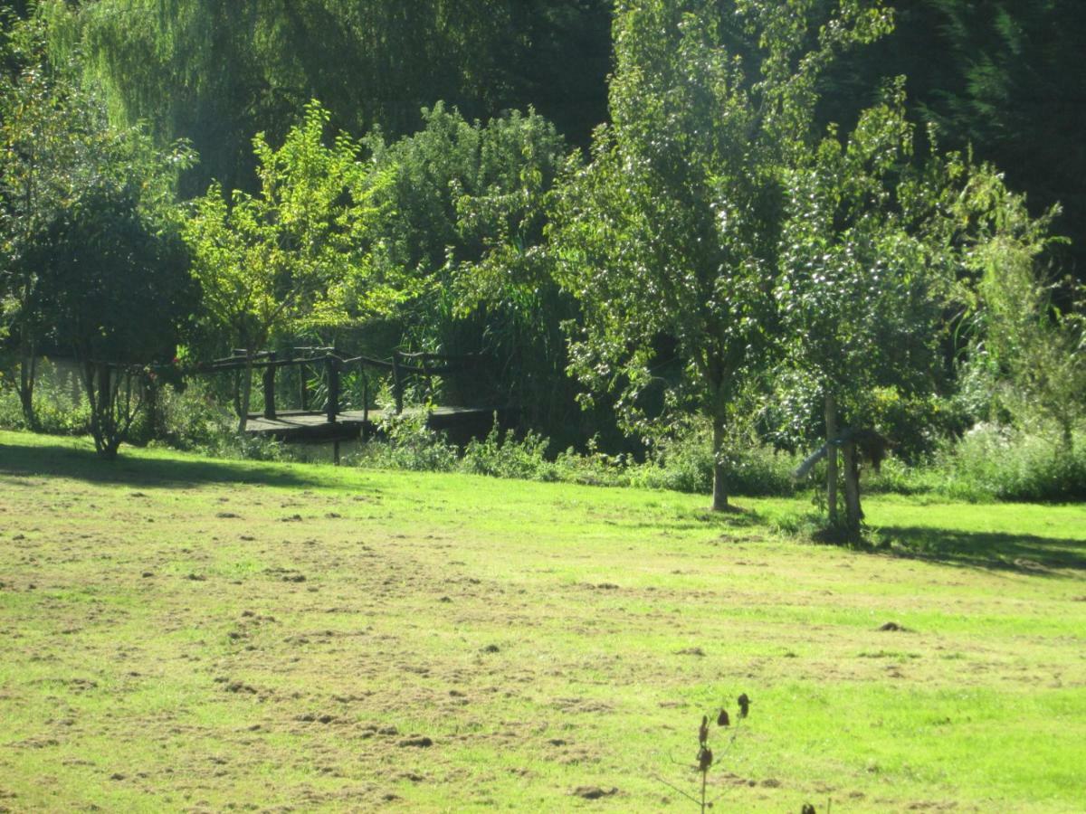Florennes Gite Neuf 150 M2 Devant Un Grand Lac Prive De 2 Hectares Poissonneux Au Milieu Des Bois Exterior photo