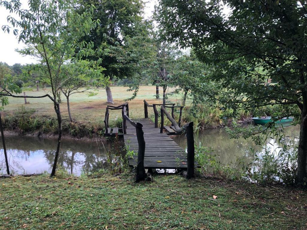 Florennes Gite Neuf 150 M2 Devant Un Grand Lac Prive De 2 Hectares Poissonneux Au Milieu Des Bois Villa Exterior photo