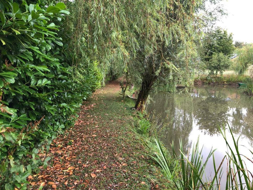 Florennes Gite Neuf 150 M2 Devant Un Grand Lac Prive De 2 Hectares Poissonneux Au Milieu Des Bois Villa Exterior photo